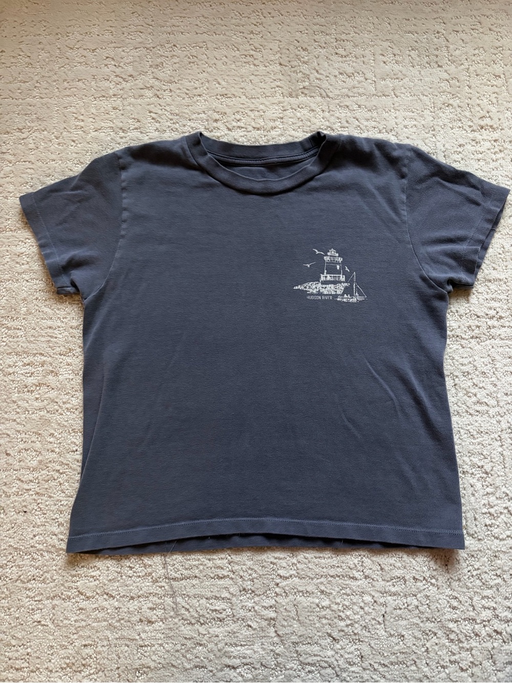 Brandy Melville Blue Graphic Baby Tee